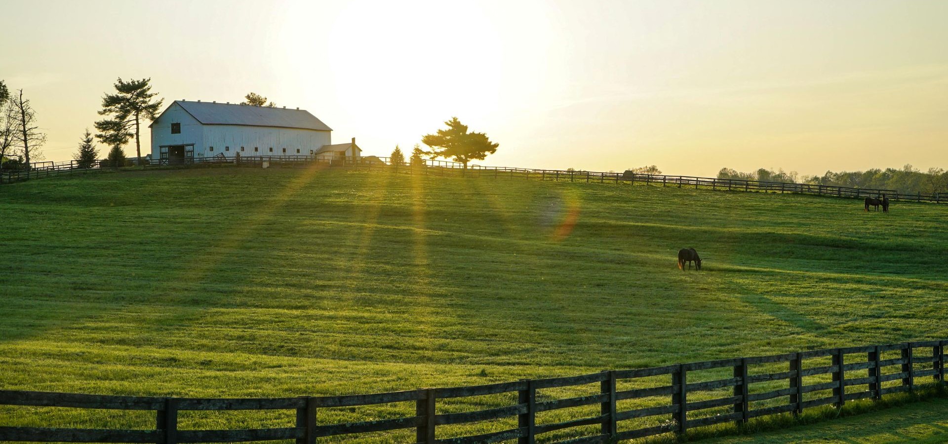 Build Momentum for Rural Health Transformation with a Virtual-First Strategy